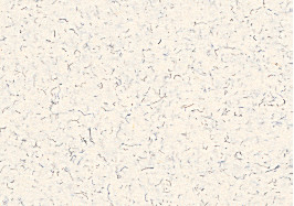 [B879]Bainbridge Sand 32