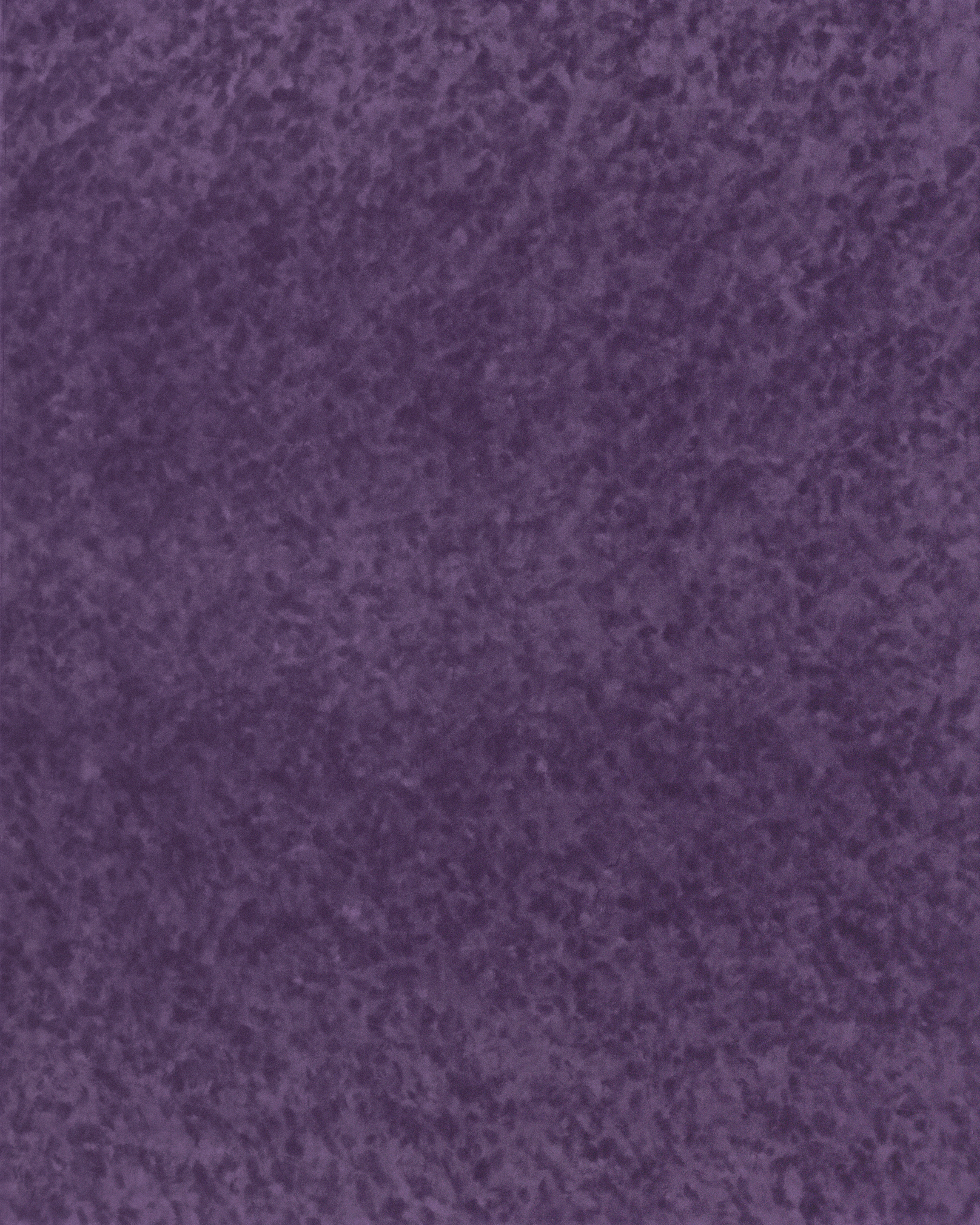 [B4216]Bainbridge Vivid Purple 32