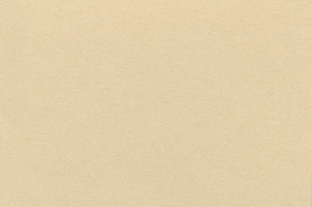 [C25706]Crescent Tan 32x40