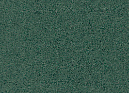 [B868]Bainbridge Forest Green 32