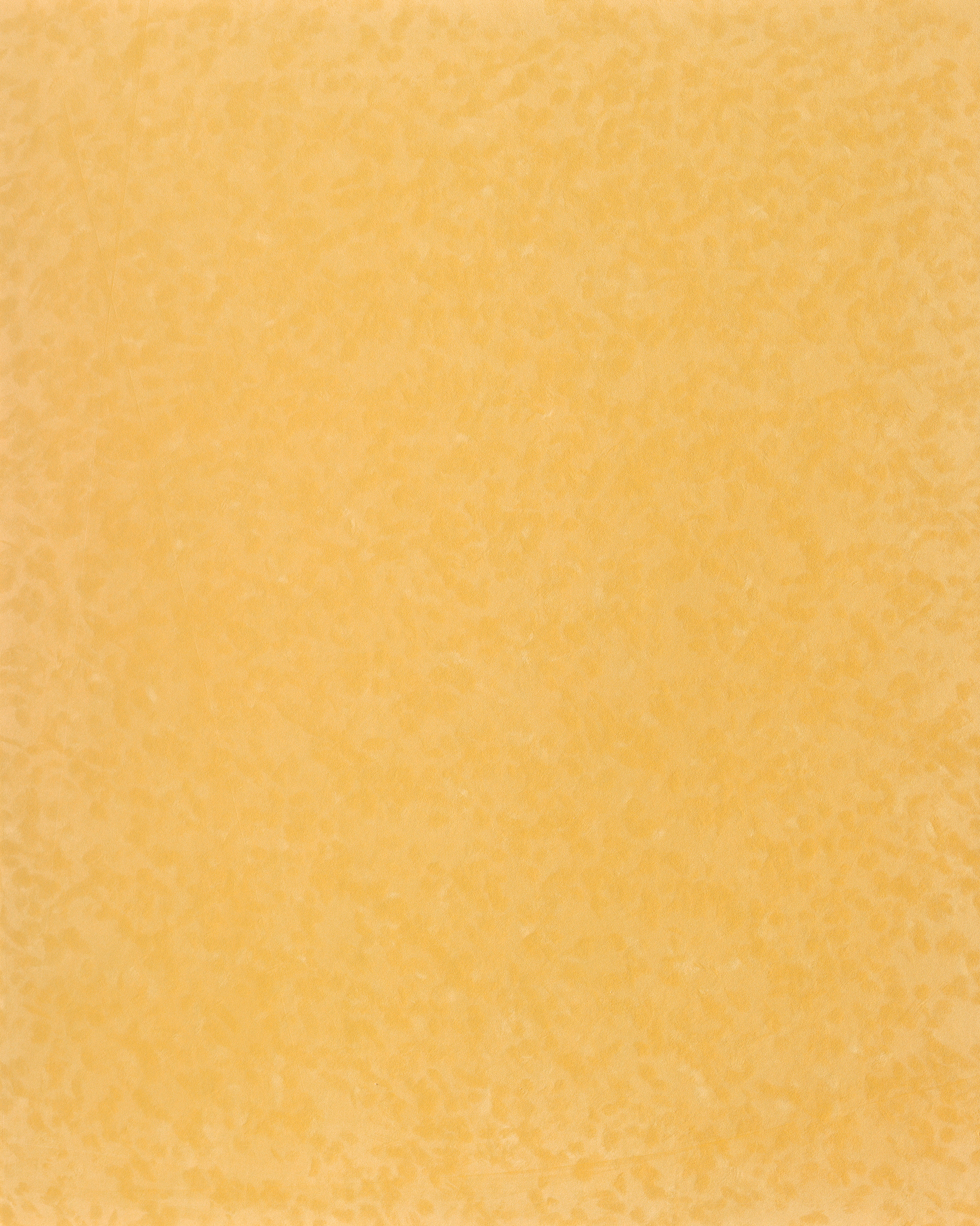 [B4221]Bainbridge Sundrenched 32