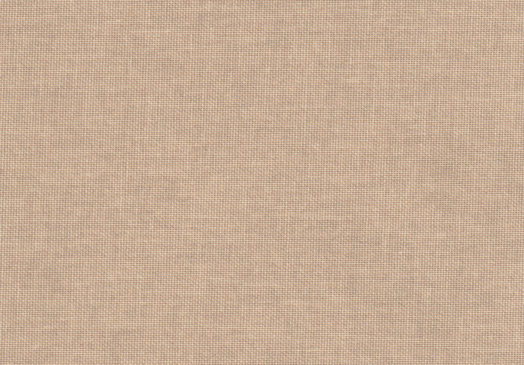 [B4427]Bainbridge Chino 32