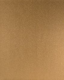 [B8004]Bainbridge Warm Gold 32