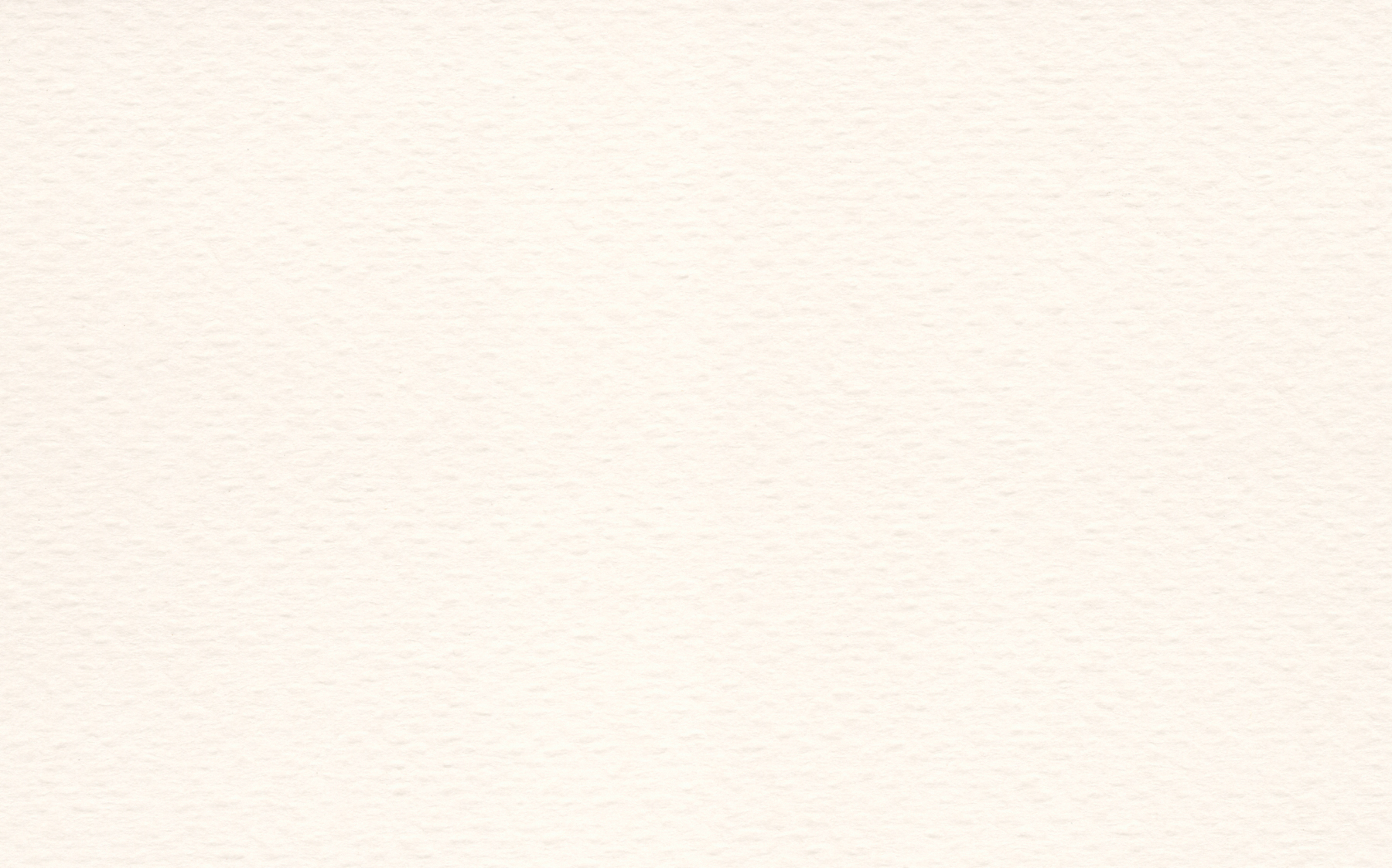 [C8987]Crescent Palm Beach White 40x60