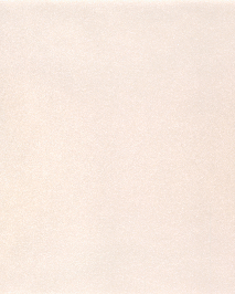[B8815]Bainbridge Parchment Muslin 32