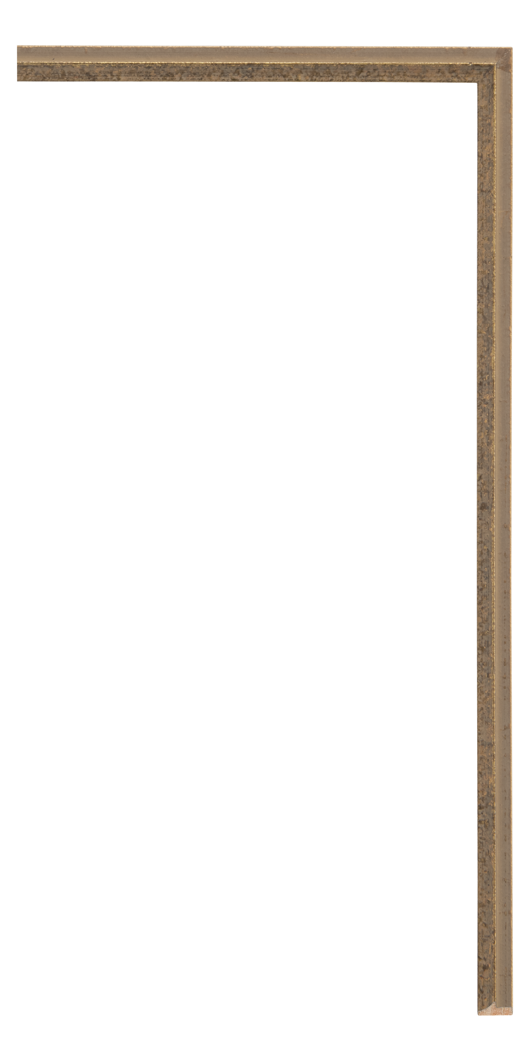 [100751]Sofia Fillet Gold 1/4