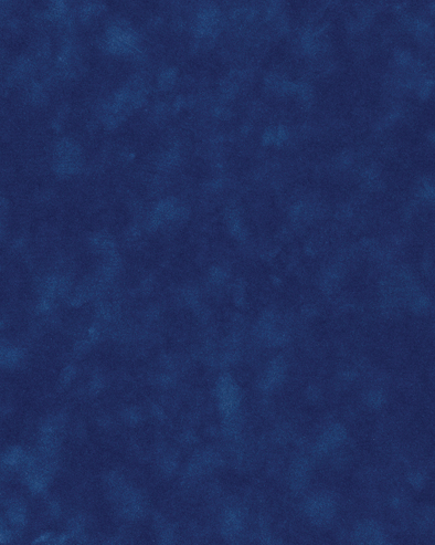 [B4236]Bainbridge Blueberry 32x40