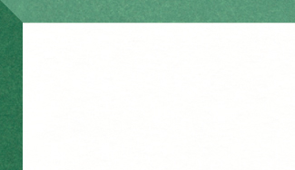[CBR224987]BRTCORE - WHITE ON GREEN 32X40 8ply