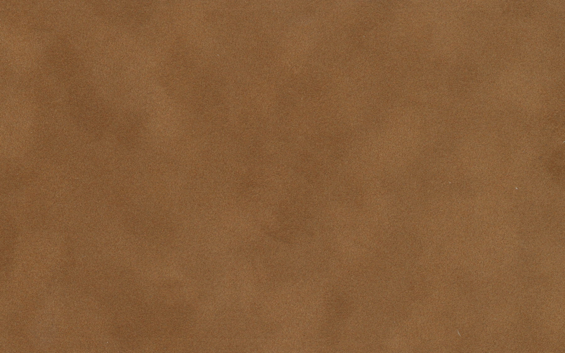 [C7106]Crescent Antelope 32x40