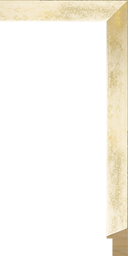 [294112]Alloy Soft Gold 1