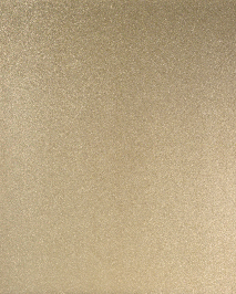[B8007]Bainbridge Brushed Pale Gold 32