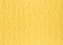 [AQ2216]Arqadia Daffodil 32