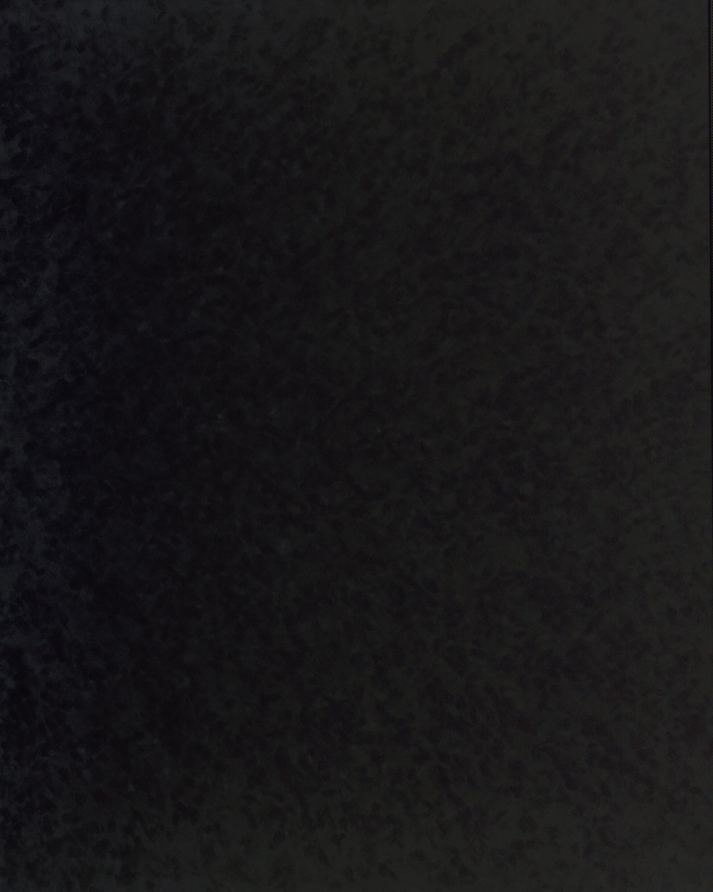 [B4165L]Bainbridge Coal 40