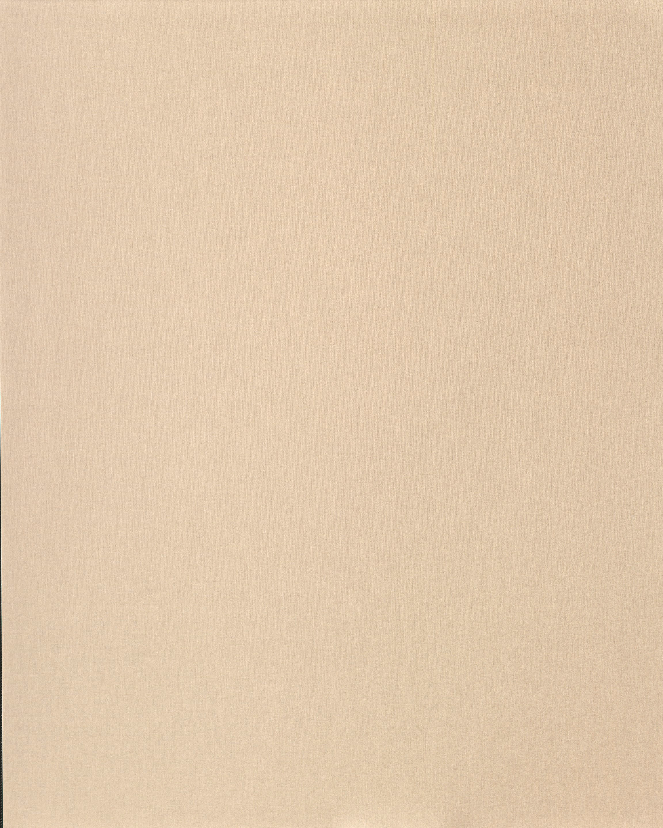 [B4097]Bainbridge Camel 32