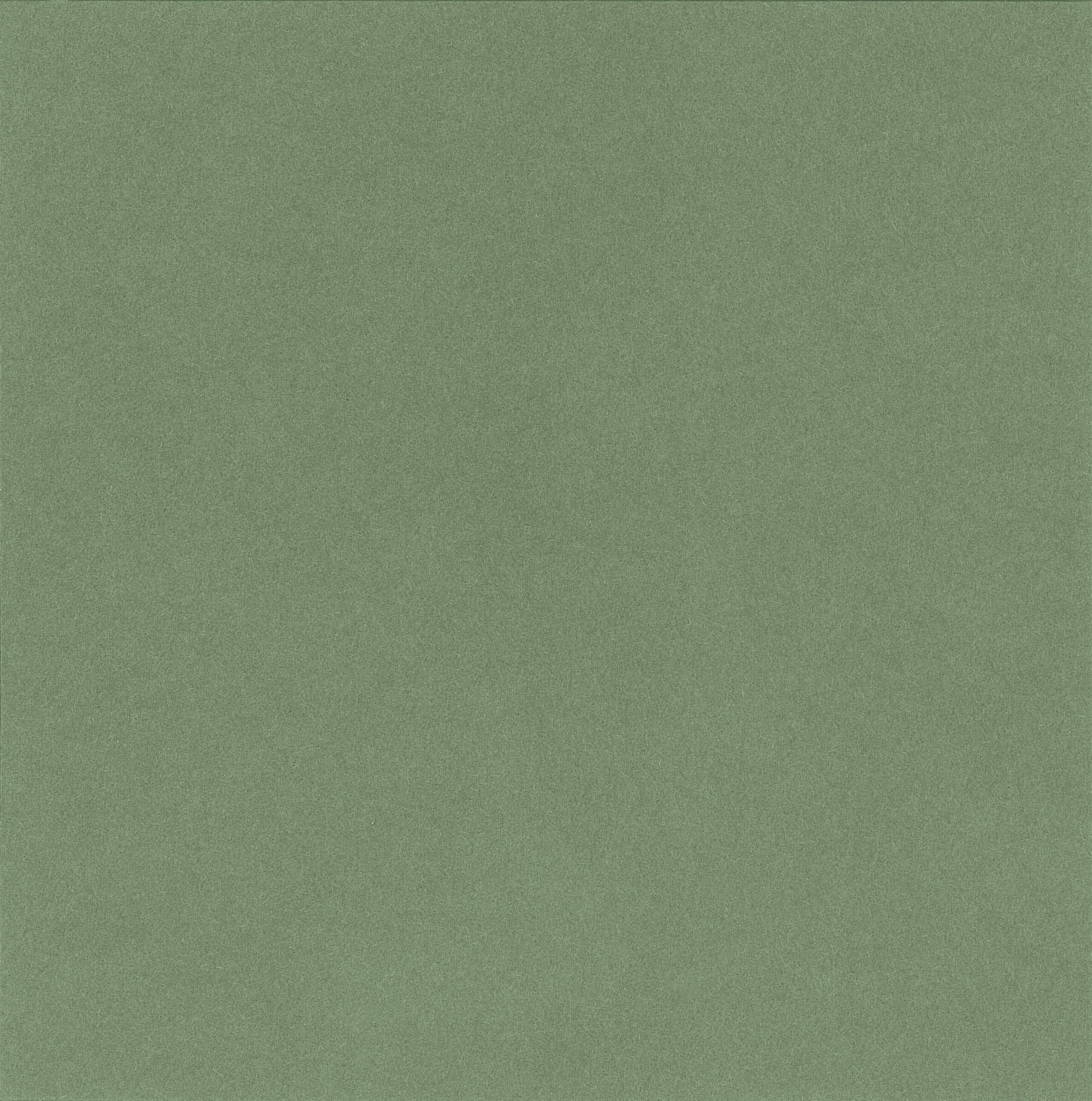 [A4876]Artique Agave 32
