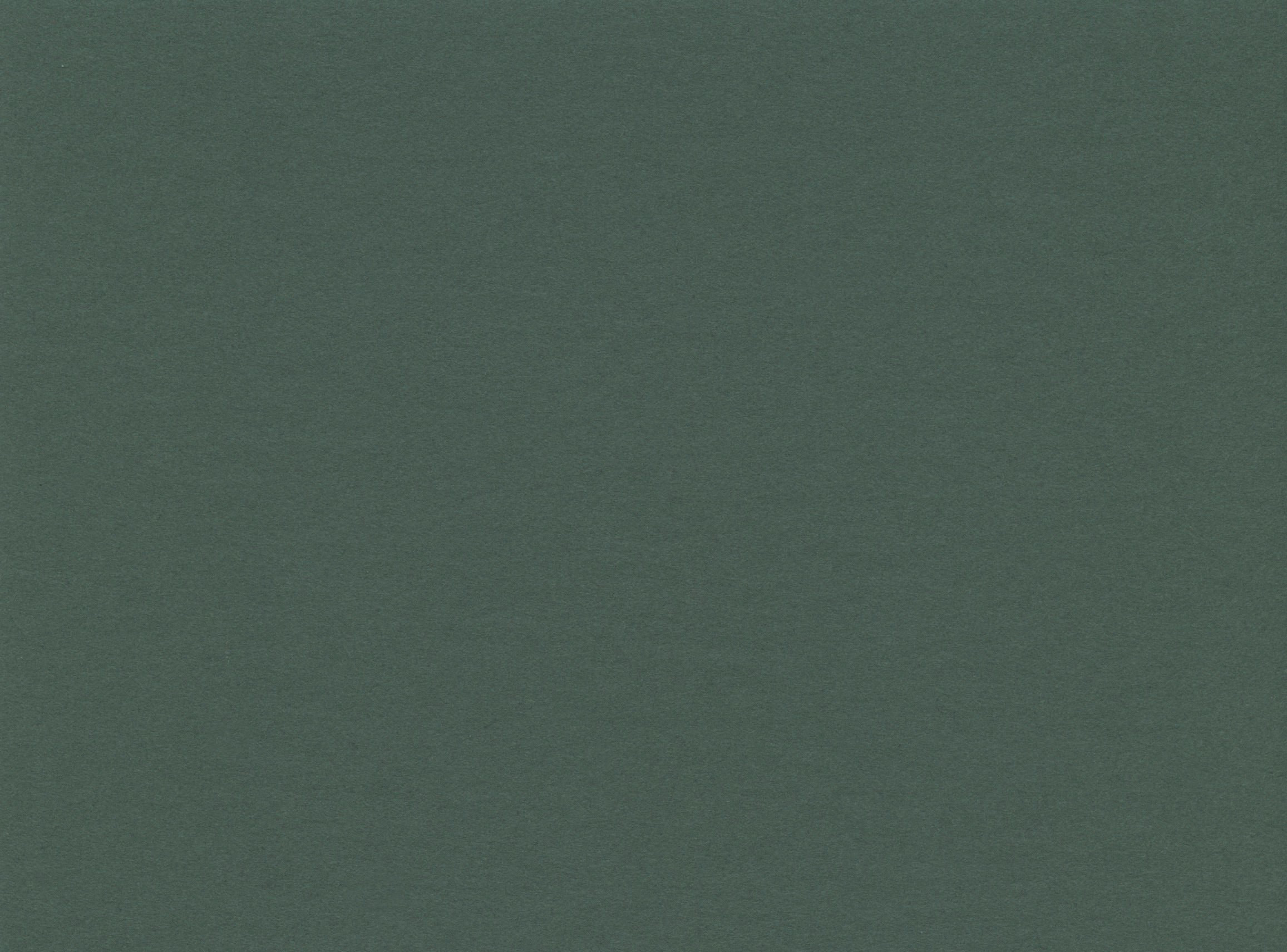 [B8273]Bainbridge Beryl 32