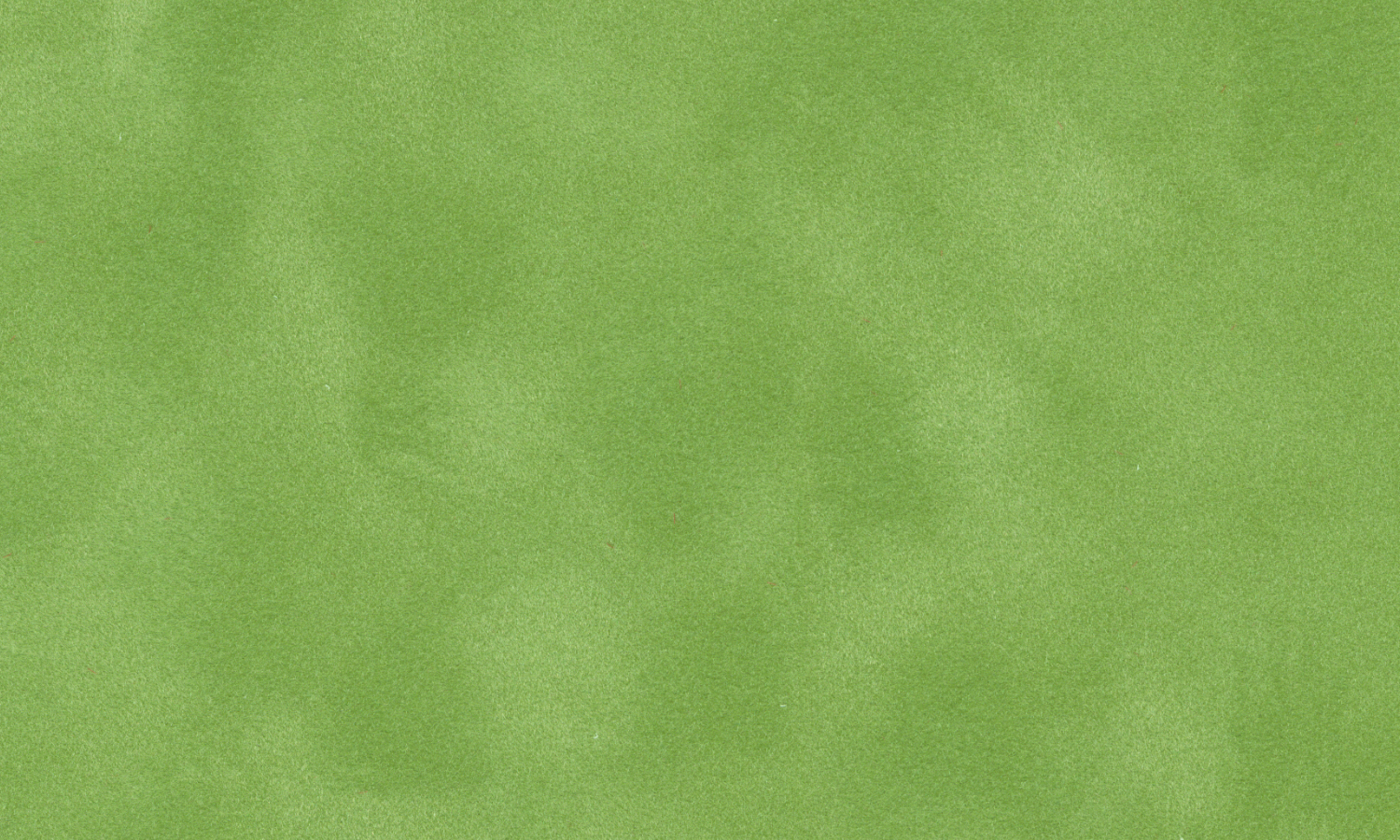 [C87134]Crescent Asparagus 40x60