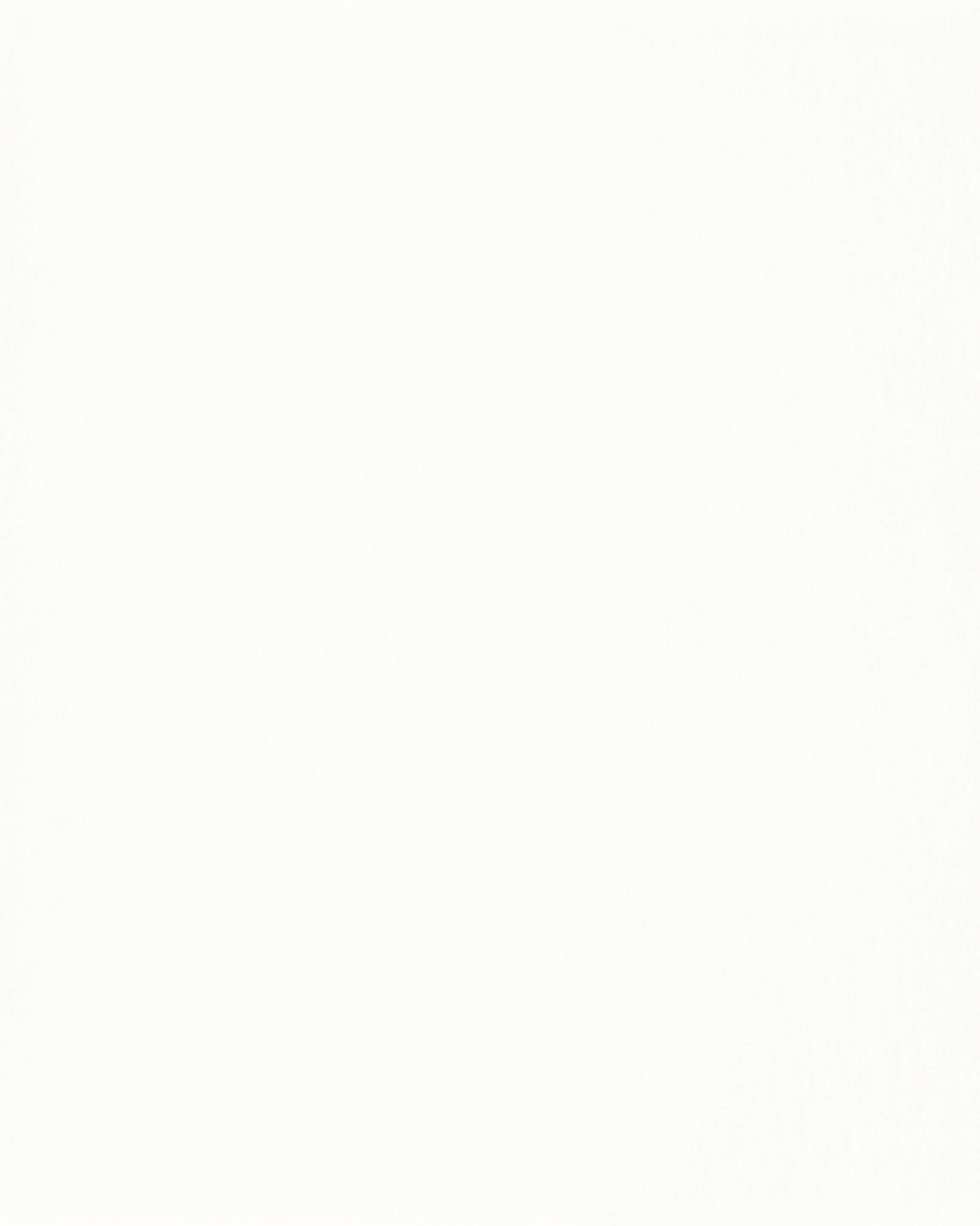 [B4104]Bainbridge White 32