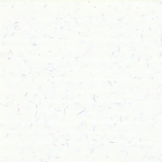[AQ5661]Arqadia Avillon White 32