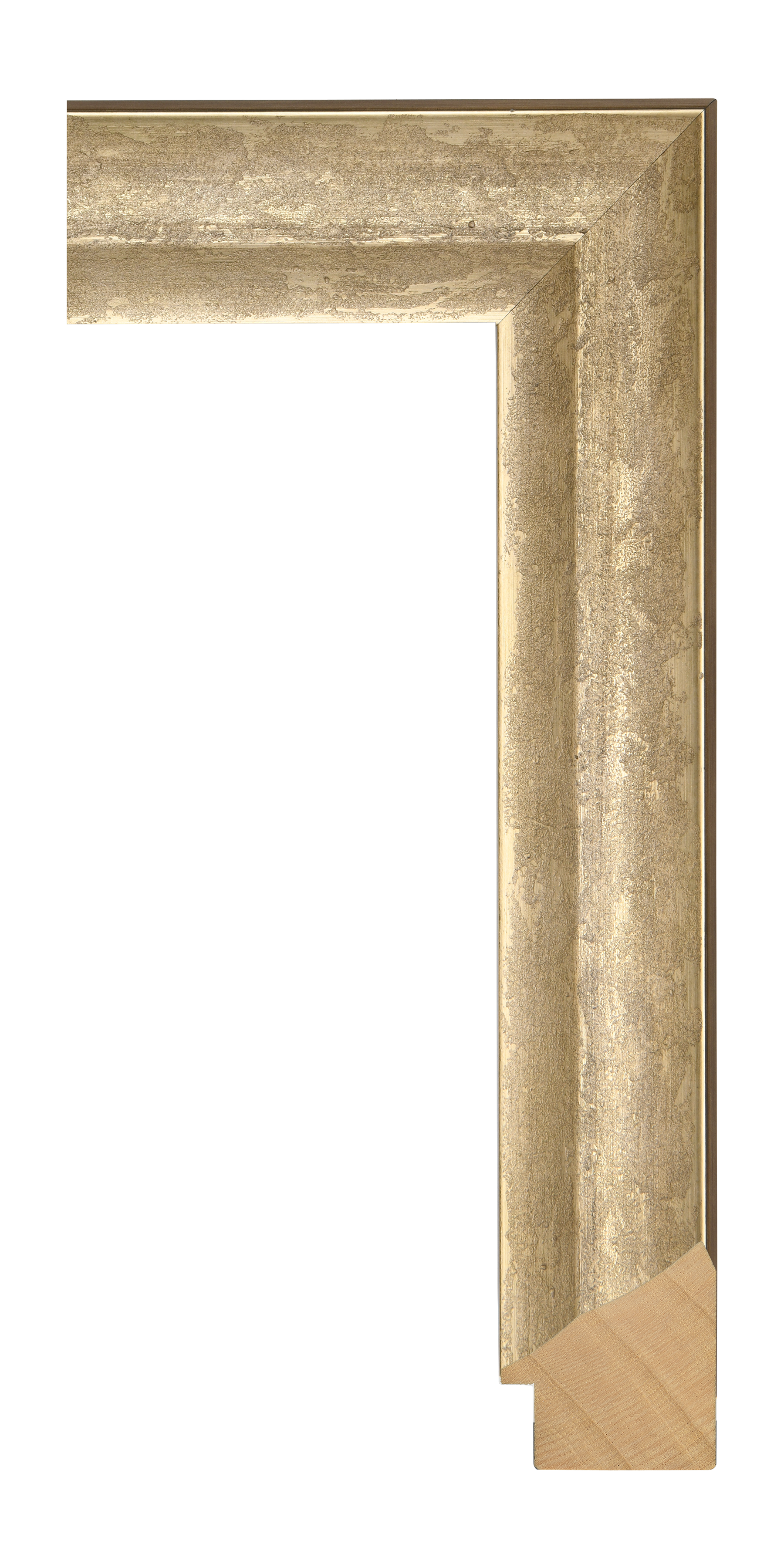 [621872]Colosseum II Moon Gold 2