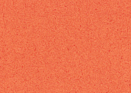 [B866]Bainbridge Burnt Orange 32