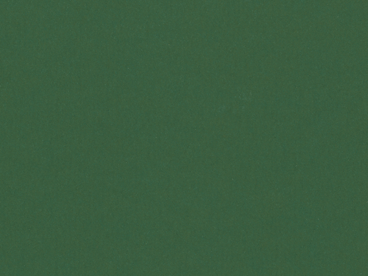 [C89533]Crescent Bonsai 40x60