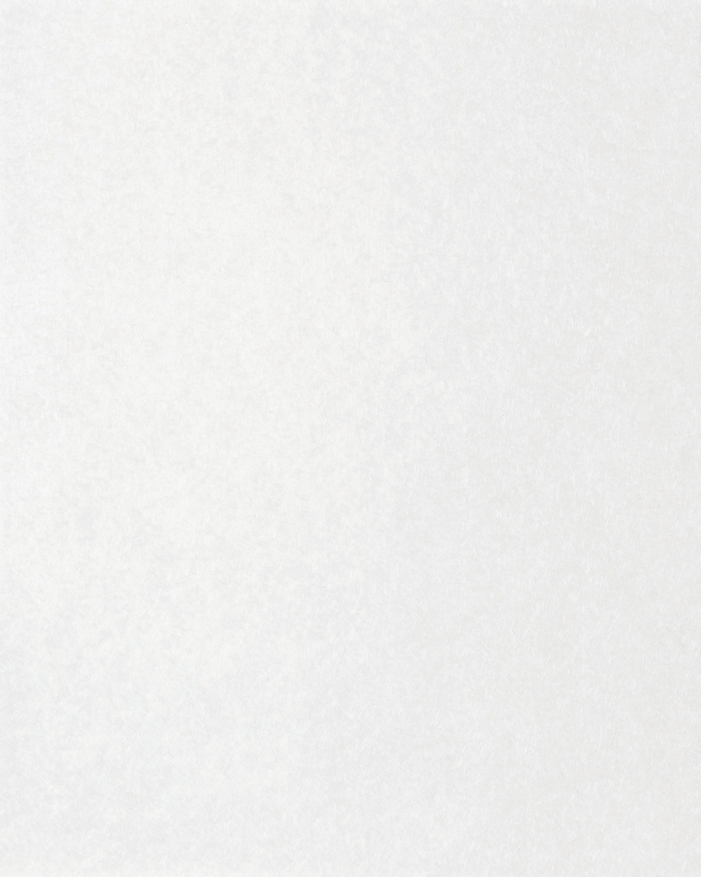 [B4700]Bainbridge White Armor 32