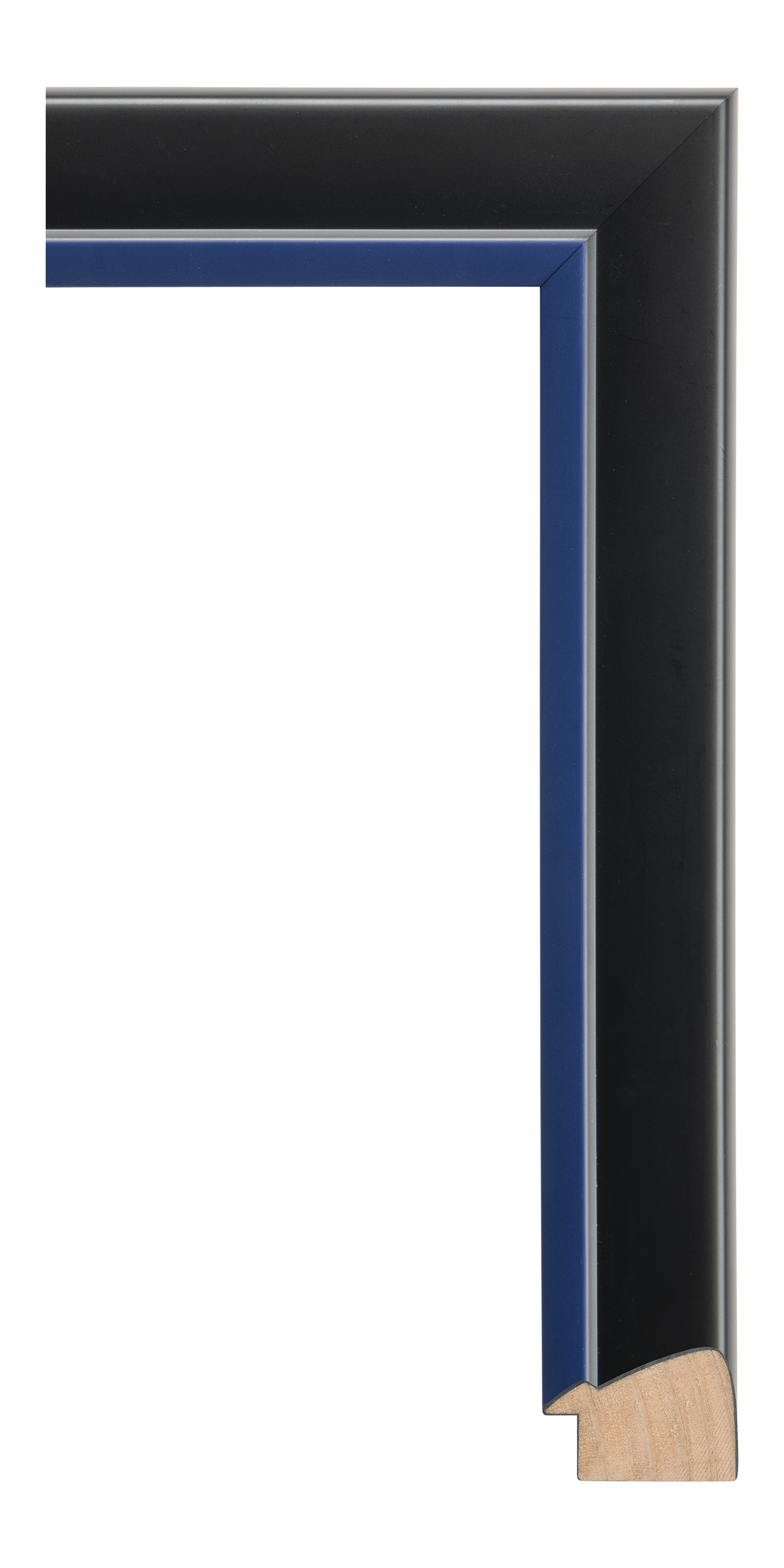 [347640]Confetti Royal Blue 1 3/4