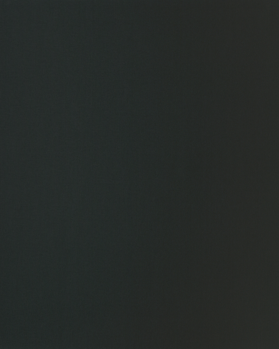[B4099]Bainbridge Nightshade 32