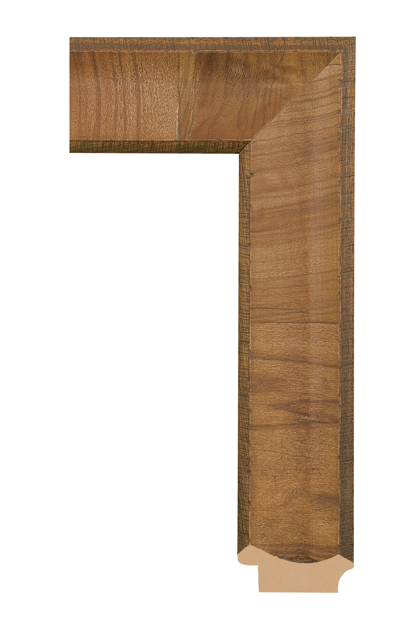 [551800]Belmont Light Olive 2' 1/2