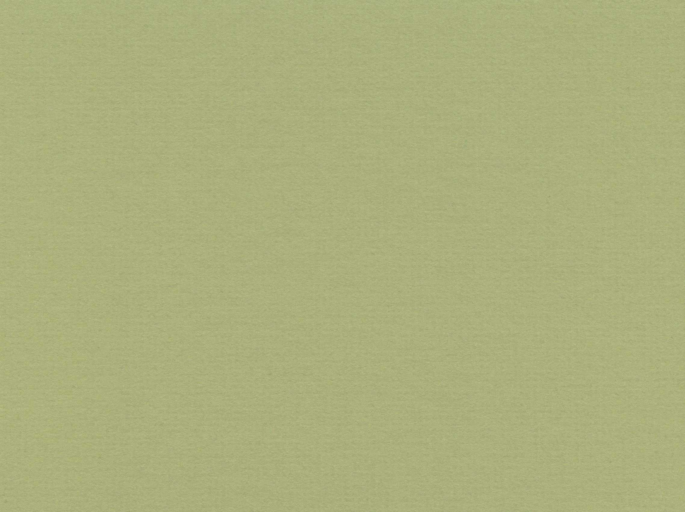 [B8275]Bainbridge Dried Sage 32