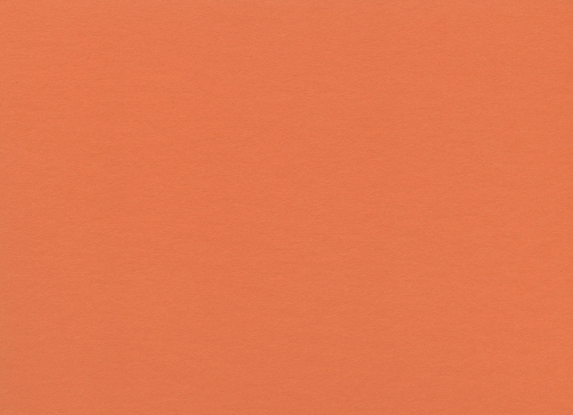 [B8270]Bainbridge Clementine 32