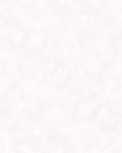 [B4176]Bainbridge White 32x40