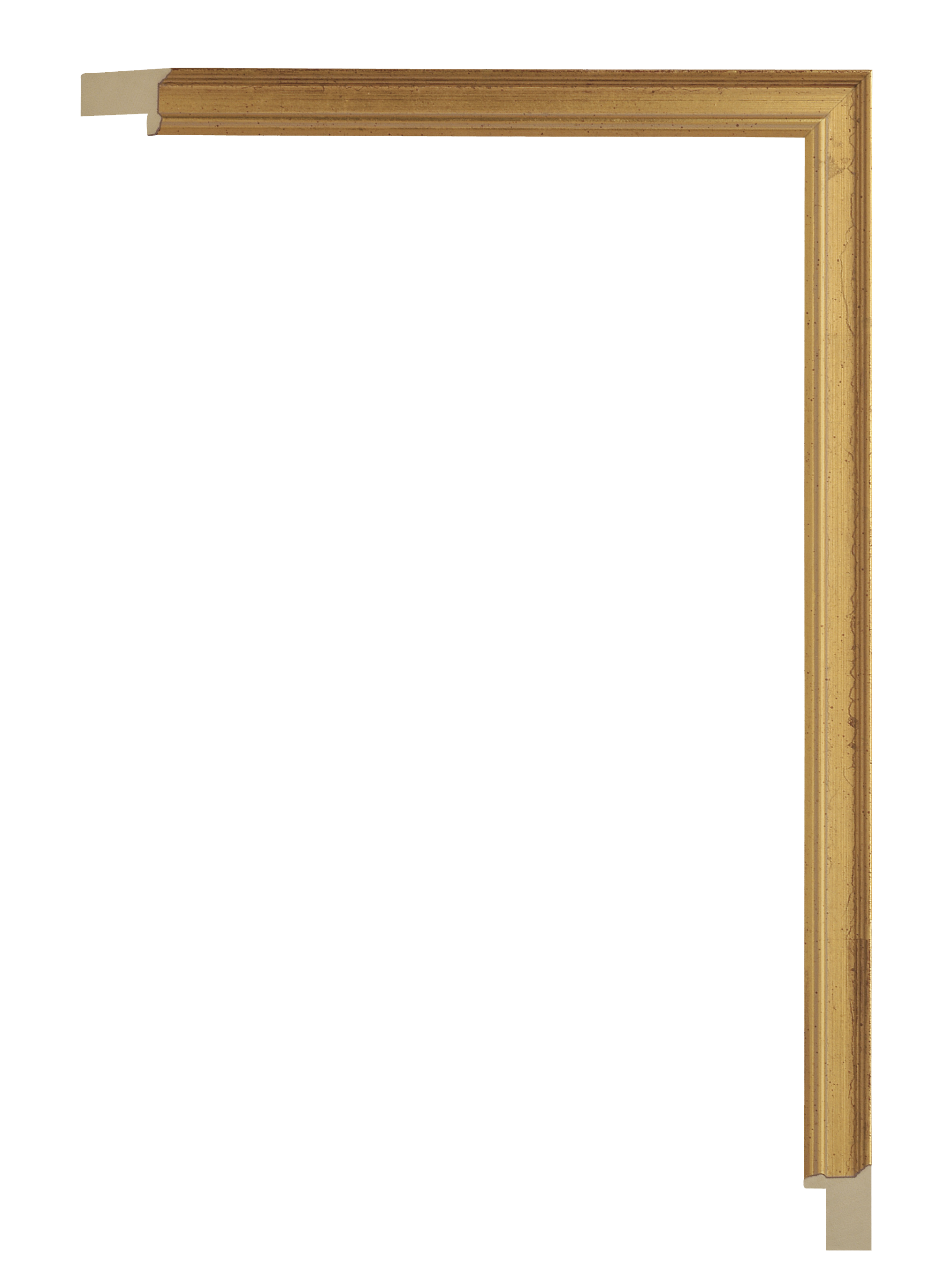 [203235]Academie Gold 3/4
