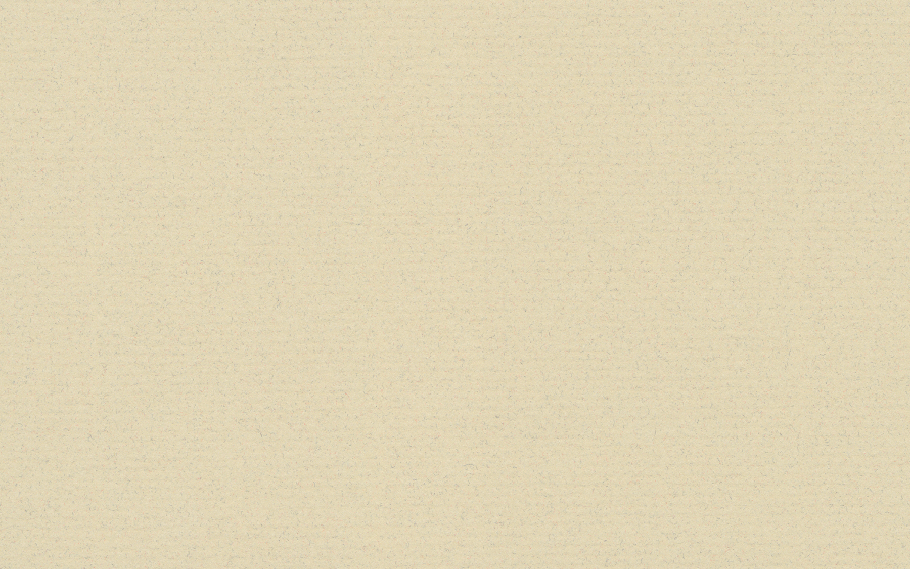 [C89511]Crescent Fossil 40x60
