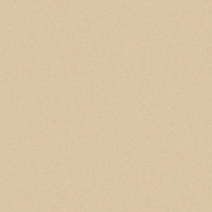 [A4153]Artique Birch 40