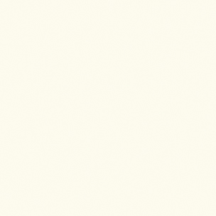 [A6208]Artique Rag Seashell 32