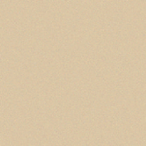 [A4837]Artique Birch 32